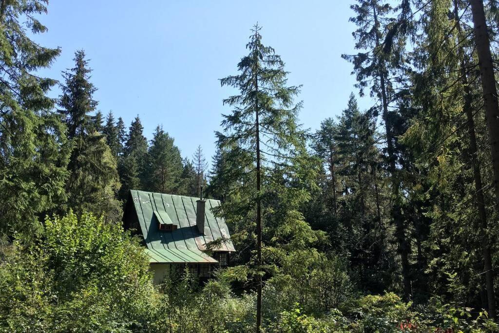 Enchanted Forest Chalet Татранська Штрба Екстер'єр фото