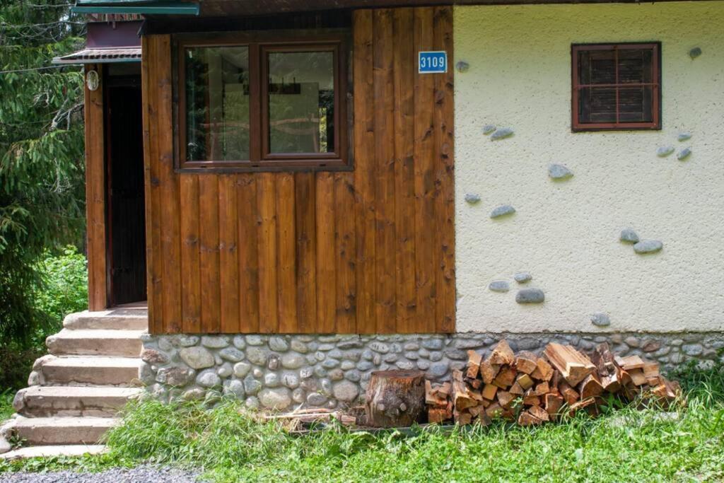 Enchanted Forest Chalet Татранська Штрба Екстер'єр фото