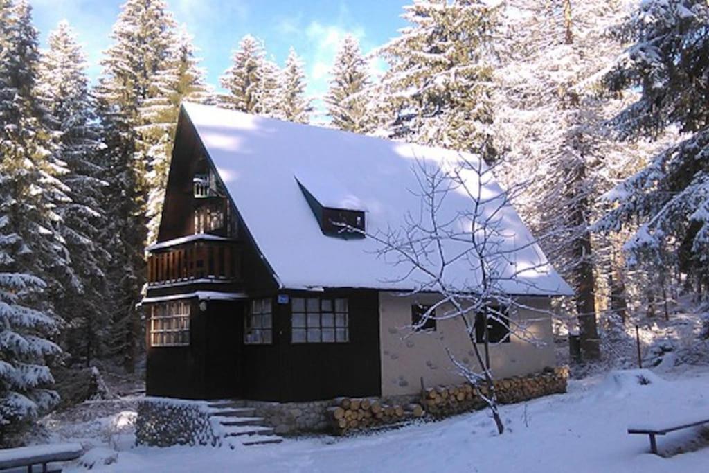 Enchanted Forest Chalet Татранська Штрба Екстер'єр фото